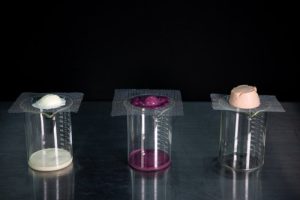 Beakers with substances of different colors